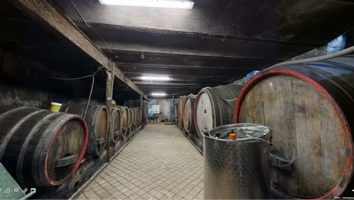 3D – Rundgänge im Weinbau